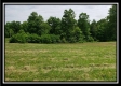 Tract 4 – Perry Retreat property photo