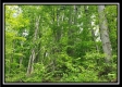 Tract 4 – Perry Retreat property photo