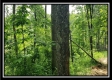 Tract 4 – Perry Retreat property photo