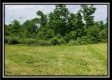 Tract 4 – Perry Retreat property photo