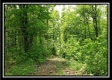 Tract 4 – Perry Retreat property photo