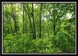 Tract 4 – Perry Retreat property photo