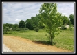 Tract 4 – Perry Retreat property photo