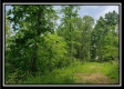 Tract 4 – Perry Retreat property photo