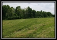 More of Tract 4 – Perry Retreat