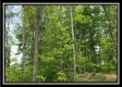 Tract 4 – Perry Retreat property photo