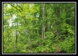 Tract 4 – Perry Retreat property photo