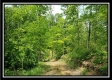 Tract 4 – Perry Retreat property photo