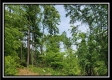 Tract 4 – Perry Retreat property photo