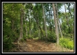 Tract 4 – Perry Retreat property photo