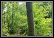 Tract 4 – Perry Retreat property photo