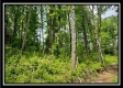 Tract 4 – Perry Retreat property photo