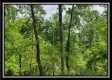 Tract 4 – Perry Retreat property photo