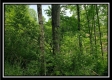 Tract 4 – Perry Retreat property photo