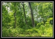 Tract 4 – Perry Retreat property photo