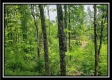 Tract 4 – Perry Retreat property photo