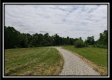 More of Tract 4 – Perry Retreat
