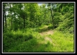 Tract 4 – Perry Retreat property photo