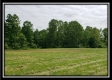Tract 4 – Perry Retreat property photo