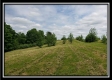 Tract 7 – Perry Retreat property photo