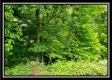 Tract 7 – Perry Retreat property photo