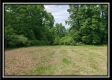 Tract 7 – Perry Retreat property photo