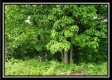 Tract 7 – Perry Retreat property photo