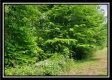 Tract 7 – Perry Retreat property photo