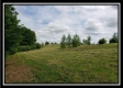 Tract 7 – Perry Retreat property photo