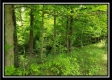 Tract 7 – Perry Retreat property photo