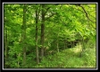 Tract 7 – Perry Retreat property photo