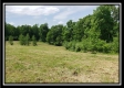Tract 7 – Perry Retreat property photo
