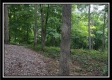 Tract 3 - Raysville Road property photo