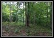 Tract 3 - Raysville Road property photo