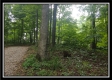 Tract 3 - Raysville Road property photo