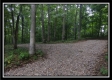 Tract 3 - Raysville Road property photo