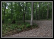 Tract 3 - Raysville Road property photo