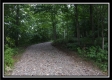 More of Tract 3 - Raysville Road