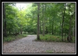 More of Tract 3 - Raysville Road