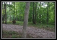 Tract 3 - Raysville Road property photo
