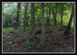 Tract 3 - Raysville Road property photo