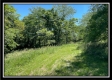 Tract 6 - Muskingum Woods property photo