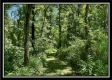 Tract 6 - Muskingum Woods property photo