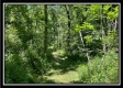 Tract 6 - Muskingum Woods property photo