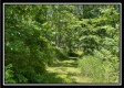 Tract 6 - Muskingum Woods property photo