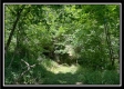 Tract 6 - Muskingum Woods property photo