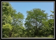 Tract 6 - Muskingum Woods property photo