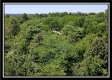 Tract 6 - Muskingum Woods property photo