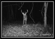 Tract 6 - Muskingum Woods property photo