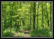 Tract 5 - Perry Retreat property photo